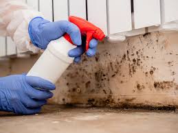 Best HVAC Mold Inspection and Cleaning  in Elverta, CA